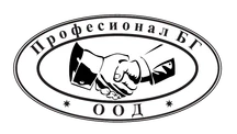 Професионал БГ ООД